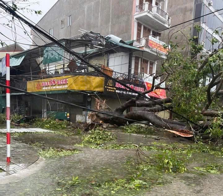 Nghệ An thiệt hại nặng nề sau bão số 10 Nghệ An thiệt hại nặng nề sau bão số 10