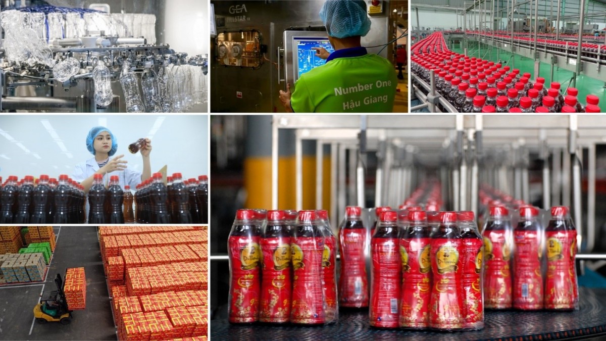 Dấu ấn chuẩn 3 Không của Trà Dr Thanh Dấu ấn chuẩn 3 Không của Trà Dr Thanh