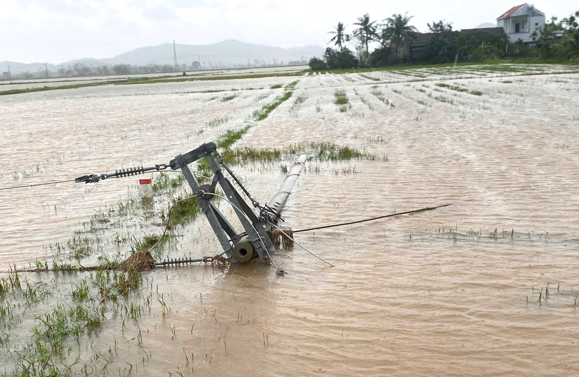 Thợ điện Nghệ An chạy đua với thời gian khôi phục lưới điện