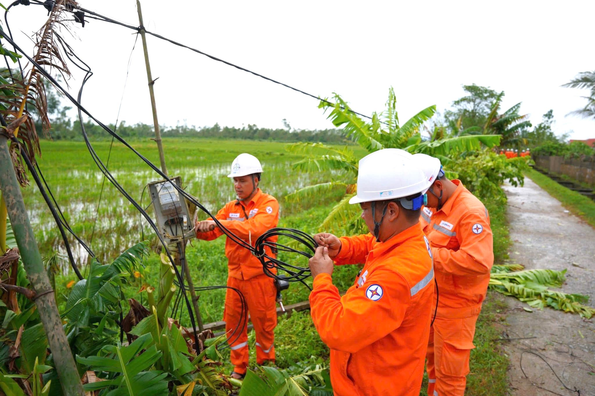 Thợ điện Nghệ An chạy đua với thời gian khôi phục lưới điện