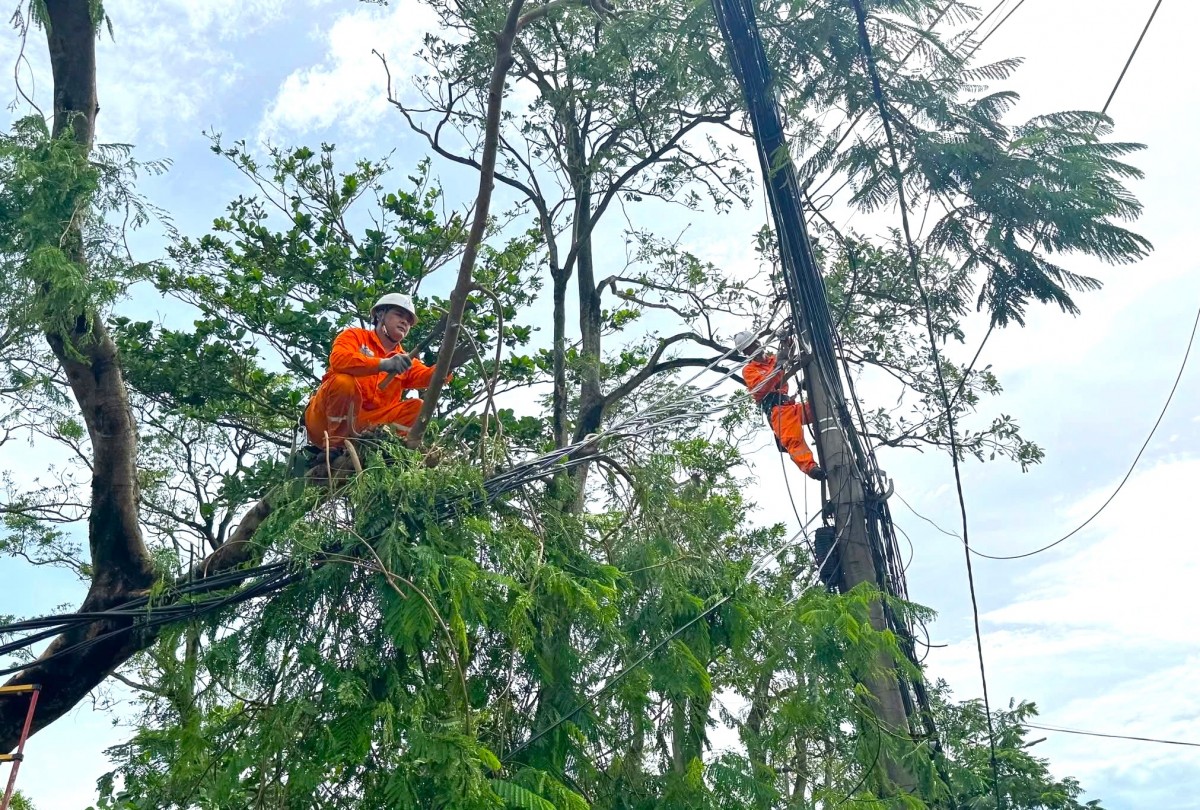 Thợ điện Nghệ An chạy đua với thời gian khôi phục lưới điện