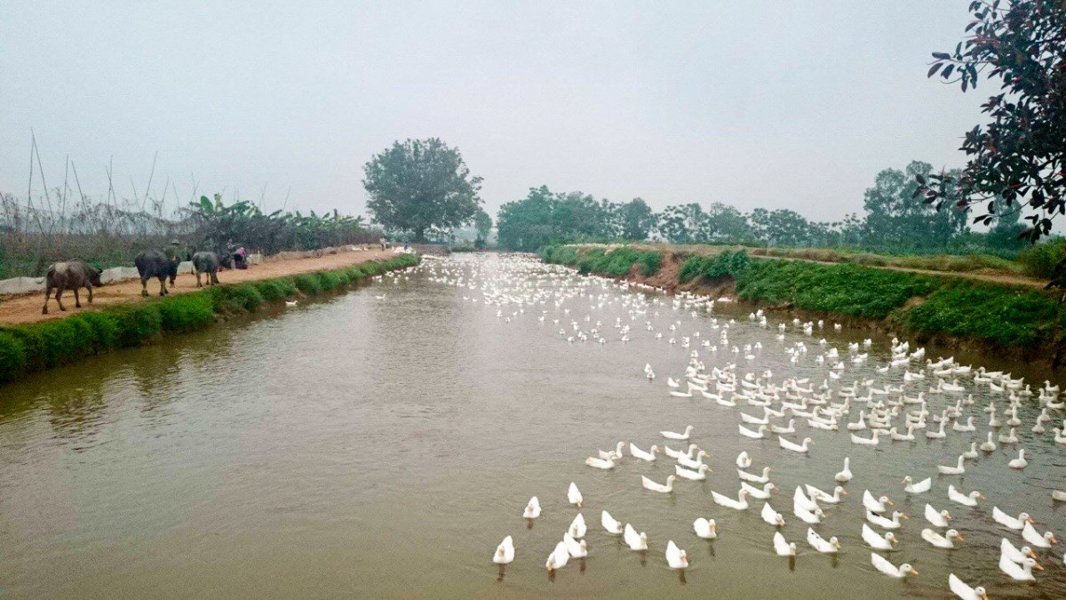 Vân Đình: Đặt mục tiêu 130 triệu đồng thu nhập/người, nâng tầm các sản phẩm OCOP Vân Đình: Đặt mục tiêu thu nhập 130 triệu đồng/người/năm, nâng tầm các sản phẩm OCOP