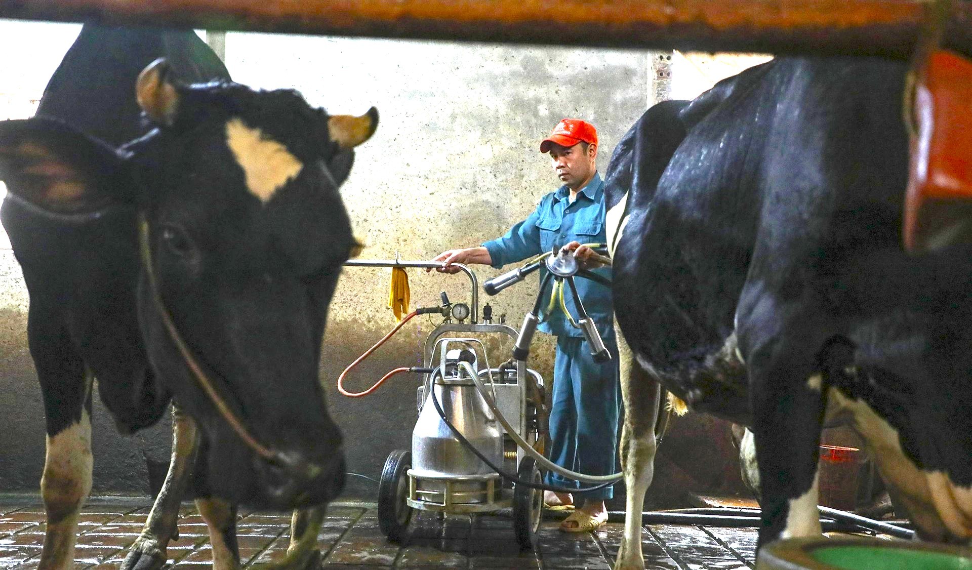 Kỳ cuối: Khi cả hệ thống chính trị vào cuộc