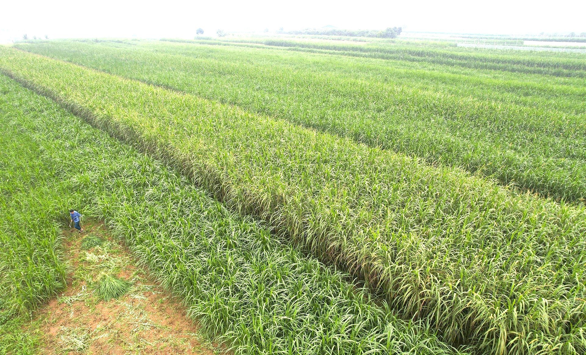 Kỳ cuối: Khi cả hệ thống chính trị vào cuộc