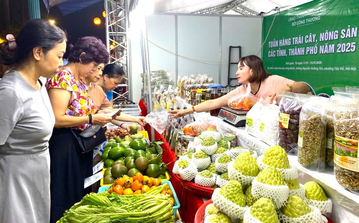 Kỳ 2: Rau sạch không còn là lời nói suông Kỳ 2: Rau sạch không còn là lời nói suông