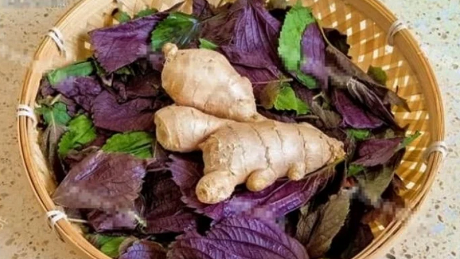 Tía tô và gừng: Bài thuốc tự nhiên vừa dễ làm, vừa hiệu quả bất ngờ