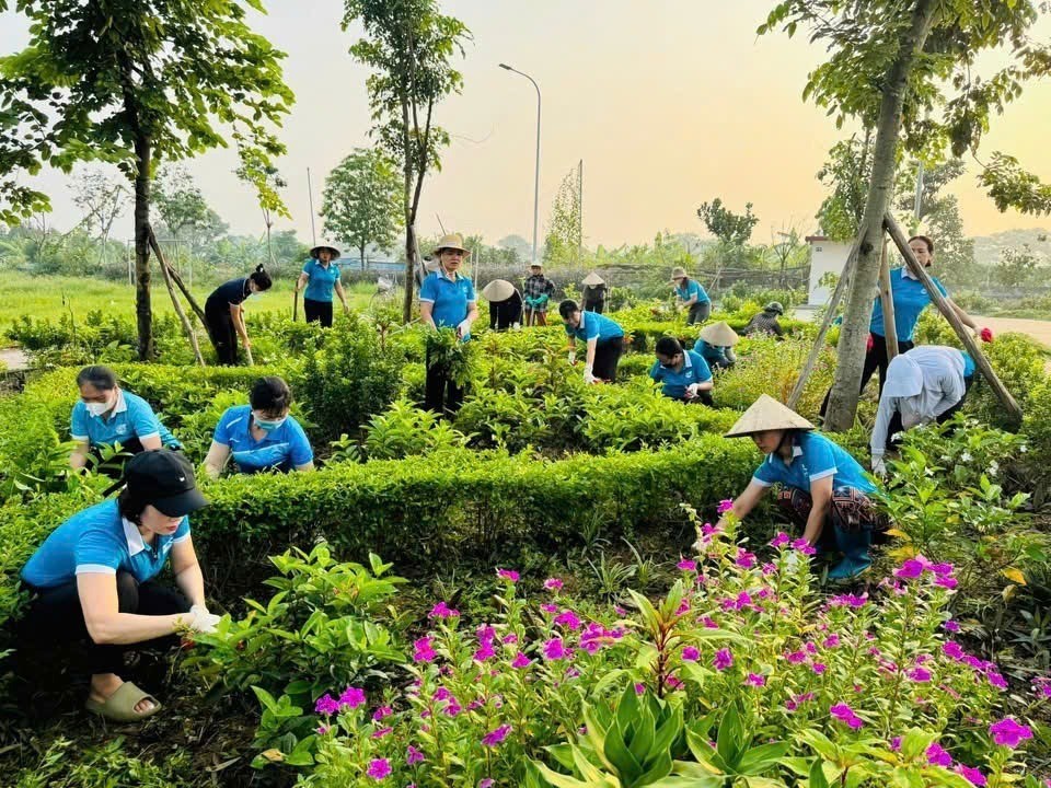 Cán bộ hội viên phụ nữ tích cực tham gia Cuộc vận động “Xây dựng gia đình 5 không, 3 sạch” tham gia xây dựng Nông thôn.