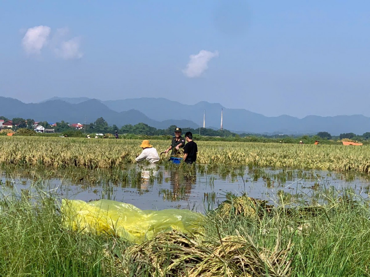 Cảnh sát Cơ động Thủ đô khẩn trương giúp dân khắc phục hậu quả bão số 11