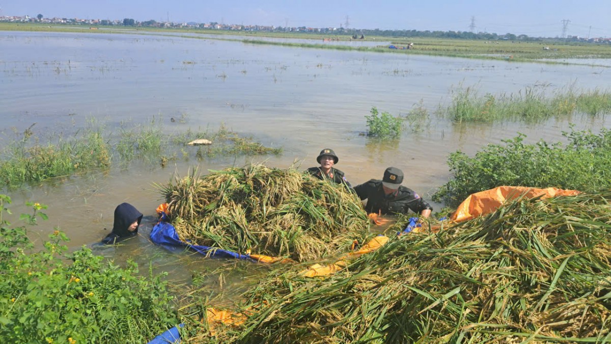 Cảnh sát Cơ động Thủ đô khẩn trương giúp dân khắc phục hậu quả bão số 11