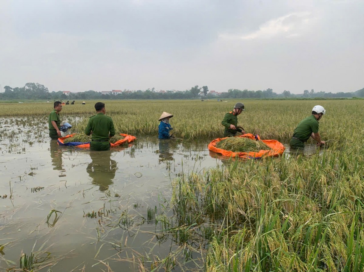 Hà Nội: Khẩn trương hỗ trợ nhân dân thu dọn bùn đất, dọn dẹp nhà cửa... ngay khi nước rút
