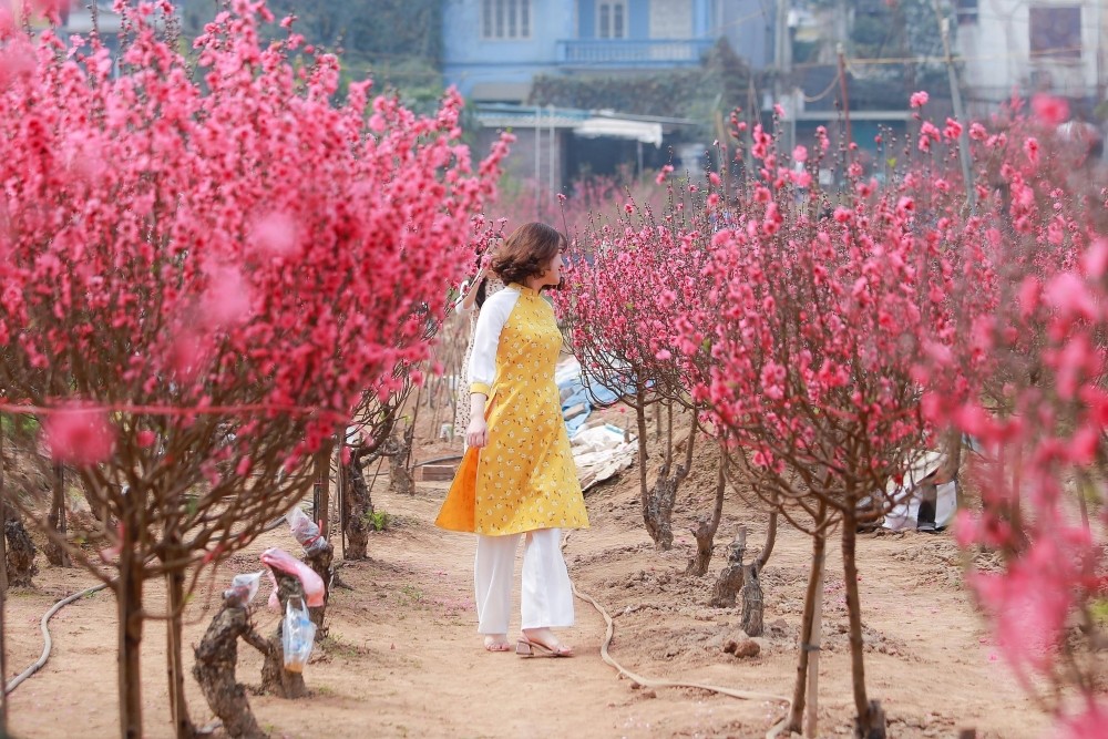 Người lao động được nghỉ Tết Nguyên đán Bính Ngọ 9 ngày liên tục