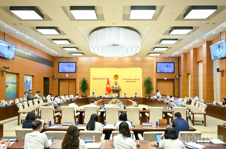 Đổi mới khung pháp lý, chống thất thu thuế