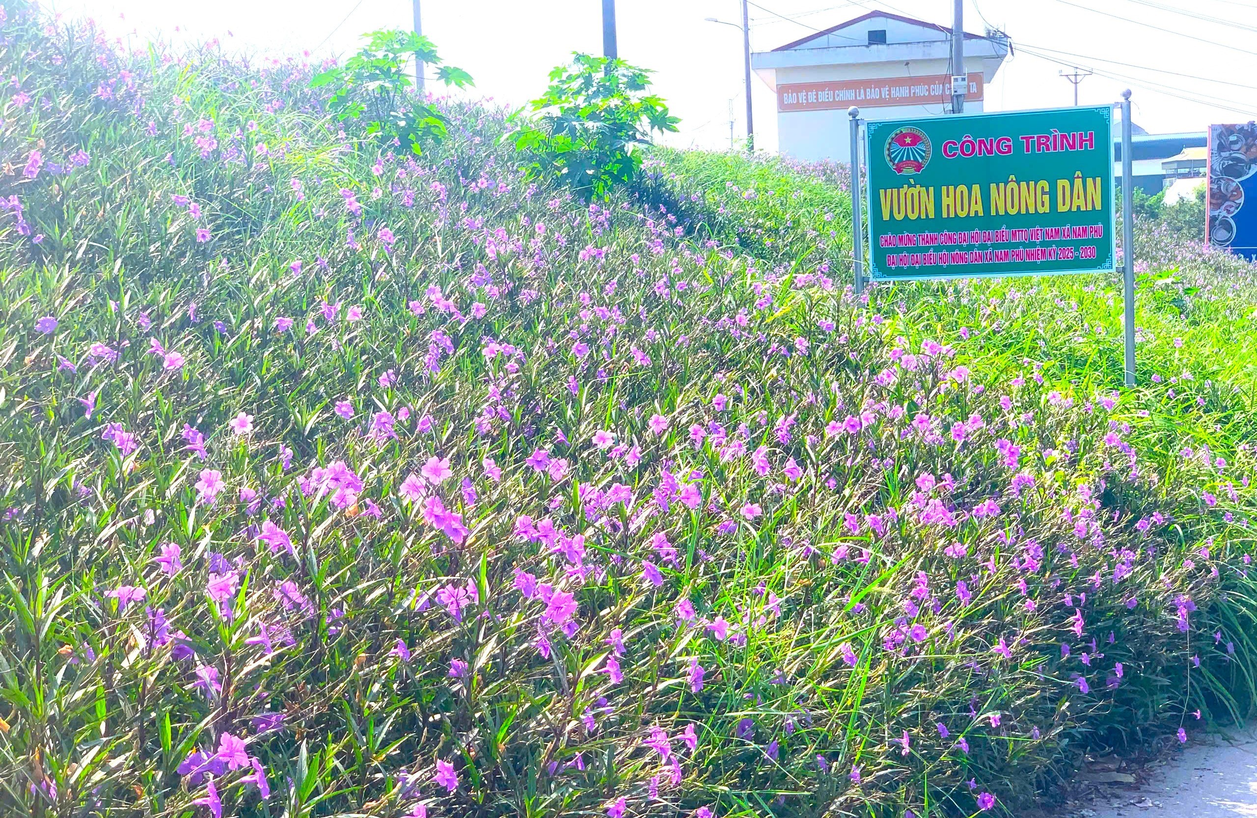 Kỳ cuối: Ý Đảng hòa lòng dân