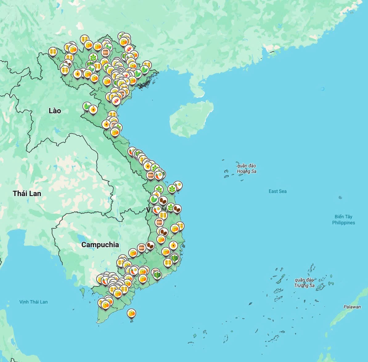 Cá tầm nặng gần 50kg sẽ xuất hiện tại Tuần lễ Nông sản Việt 2025 ở Hà Nội