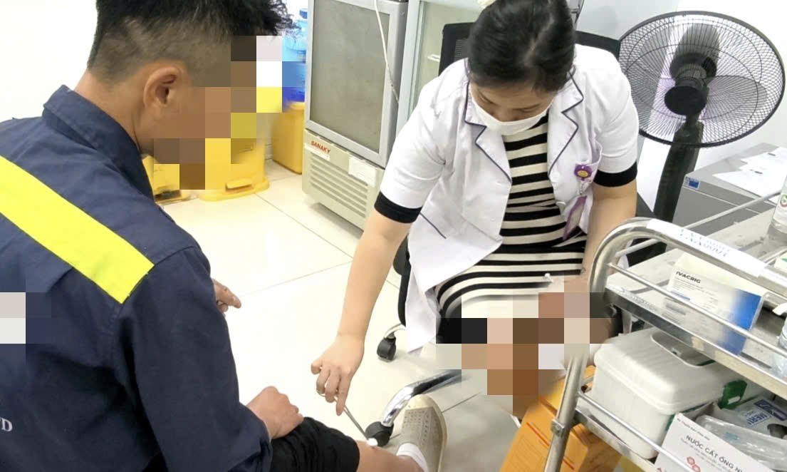 Bị chó nhà tấn công, người phụ nữ 63 tuổi nhập viện cấp cứu