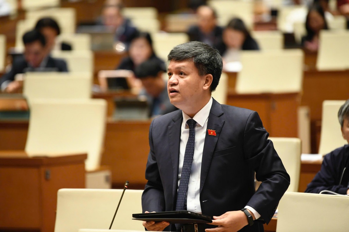 Cần có cơ chế huy động chuyên gia, nhà khoa học tham gia đoàn giám sát