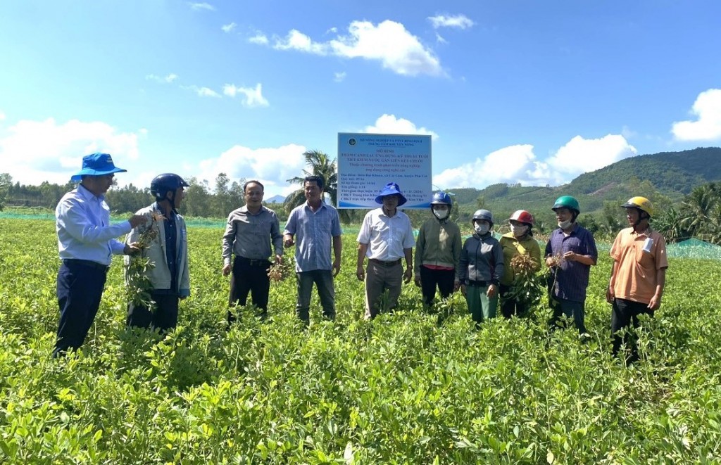 Quy định mới nhất về tổ chức hệ thống khuyến nông các cấp