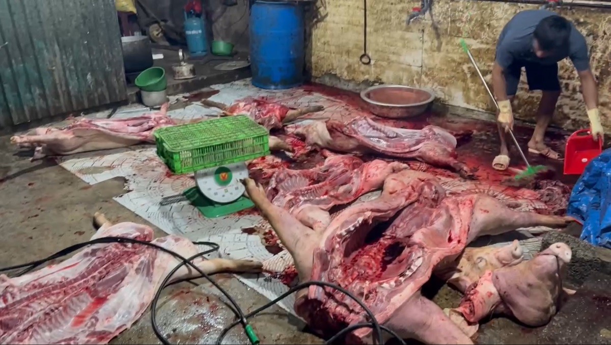 Hồi chuông cảnh báo “từ lò mổ đến bàn ăn”