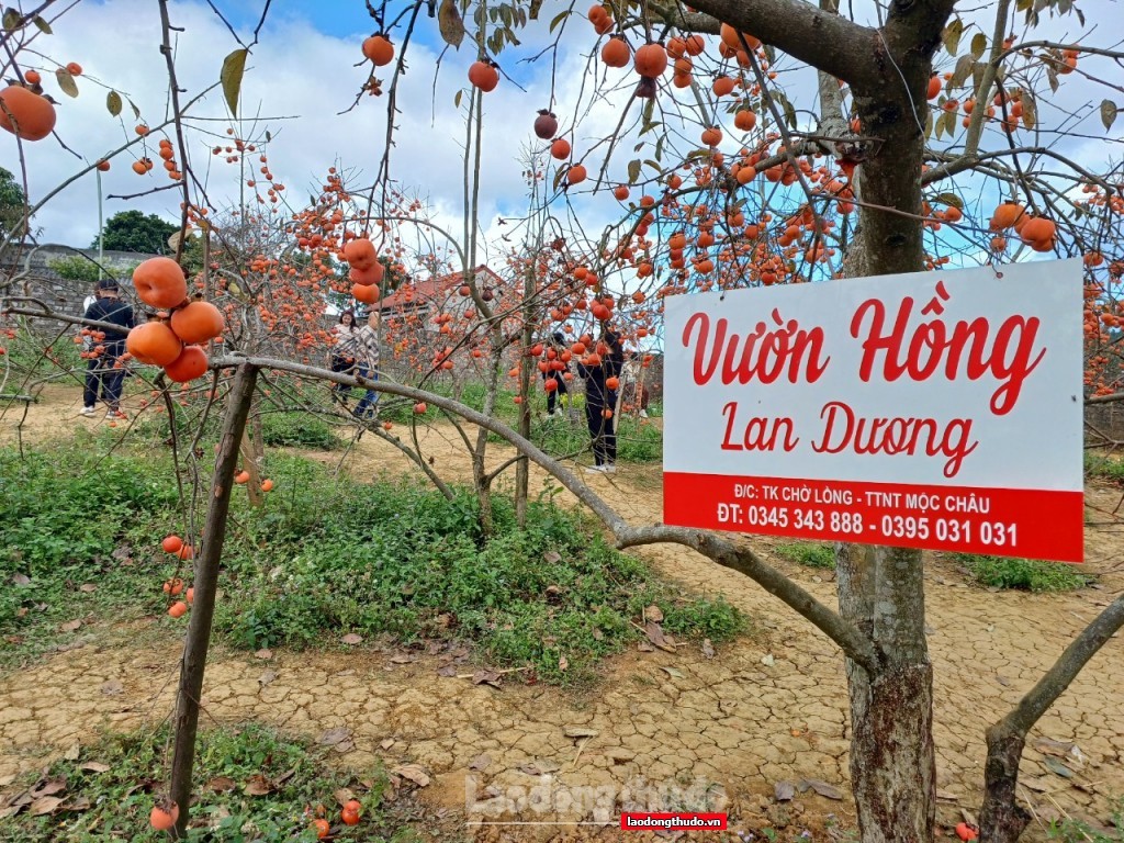Phát Triển Du Lịch Xanh, Thông Minh - Động Lực Mới Cho Tăng Trưởng Bền Vững Của Đất Nước