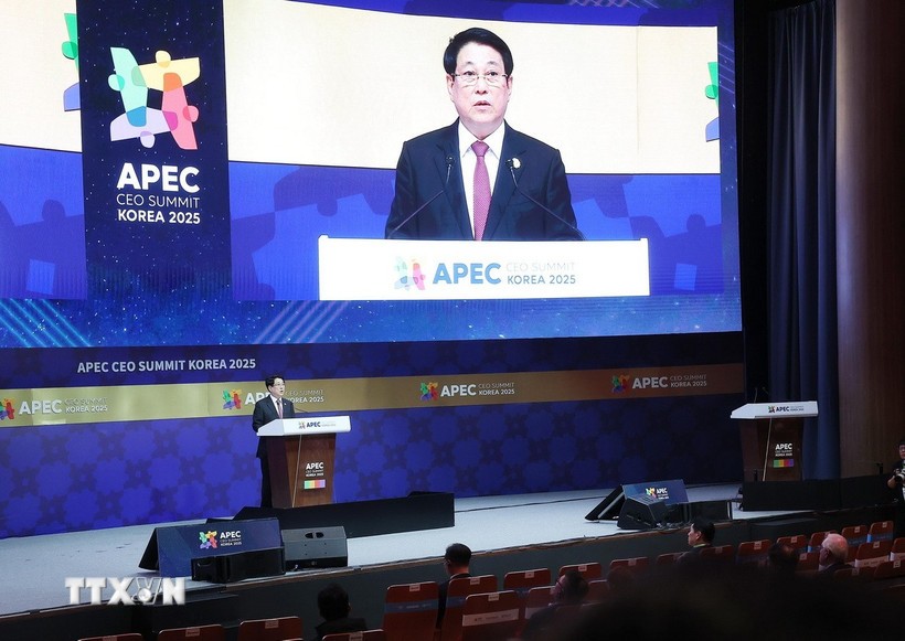 Việt Nam Mang Đến Cho Các Doanh Nghiệp Sự Ổn Định, Cơ Hội Thành Công Bền Vững