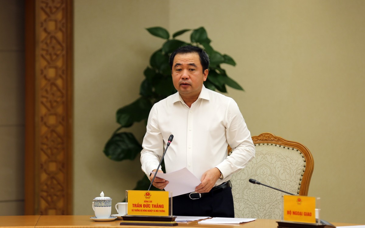 Đặt Công Tác Phòng Chống Bão Kalmaegi Trong 