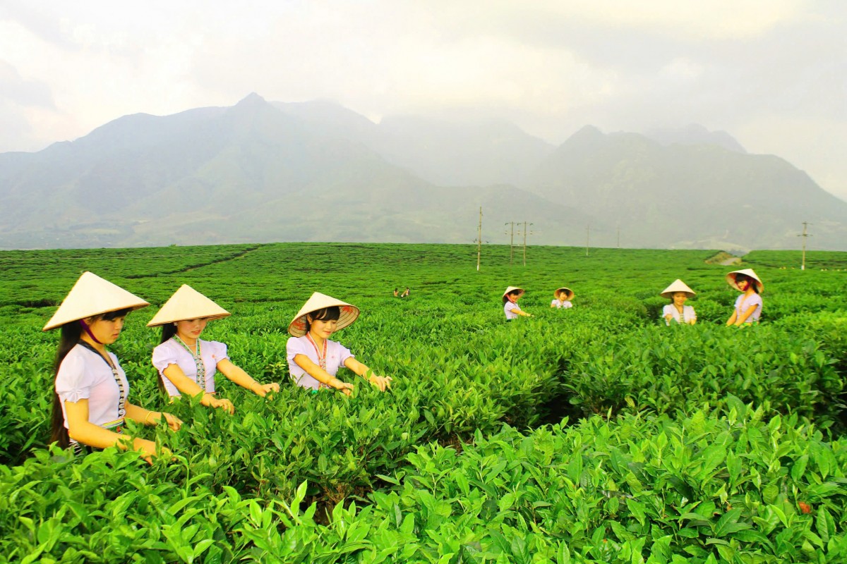 Ngày hội sản phẩm vùng đồng bào dân tộc thiểu số và miền núi phía Bắc diễn ra từ 14 - 16/11