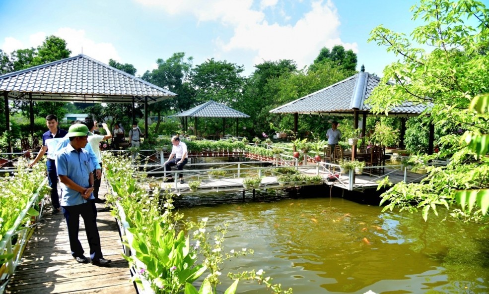 Phát Huy Lợi Thế Nông Nghiệp Sinh Thái, Kết Hợp Du Lịch Trải Nghiệm Đang Tạo Nên Diện Mạo Mới Cho Nông Thôn Thủ Đô.