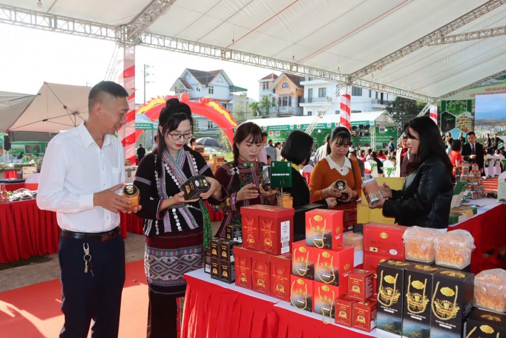 Khai mạc Ngày hội sản phẩm vùng đồng bào dân tộc thiểu số và miền núi phía Bắc