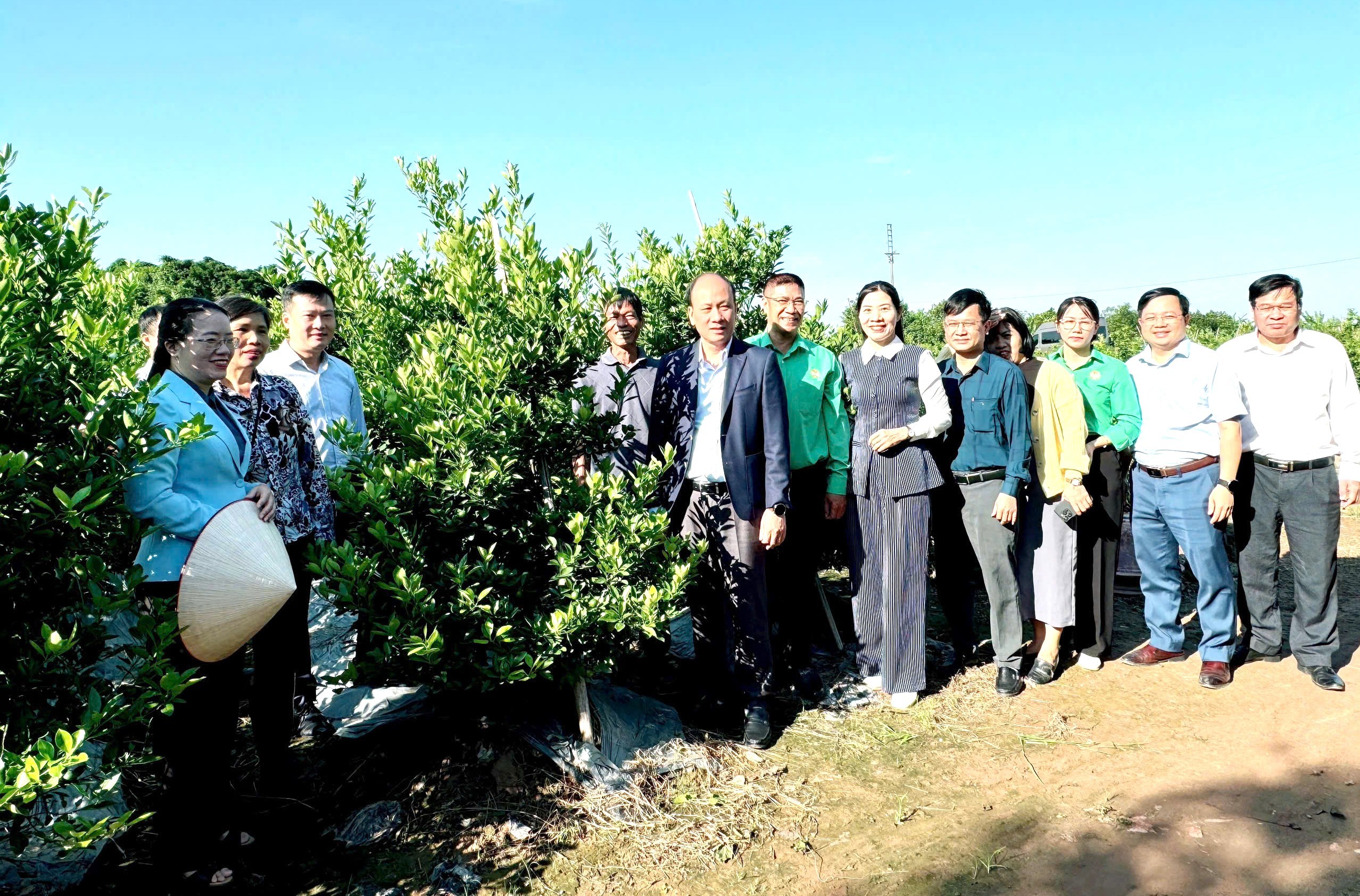 Đa dạng mô hình kinh tế theo định hướng du lịch nông nghiệp - làng nghề Đa dạng mô hình kinh tế theo định hướng du lịch nông nghiệp - làng nghề