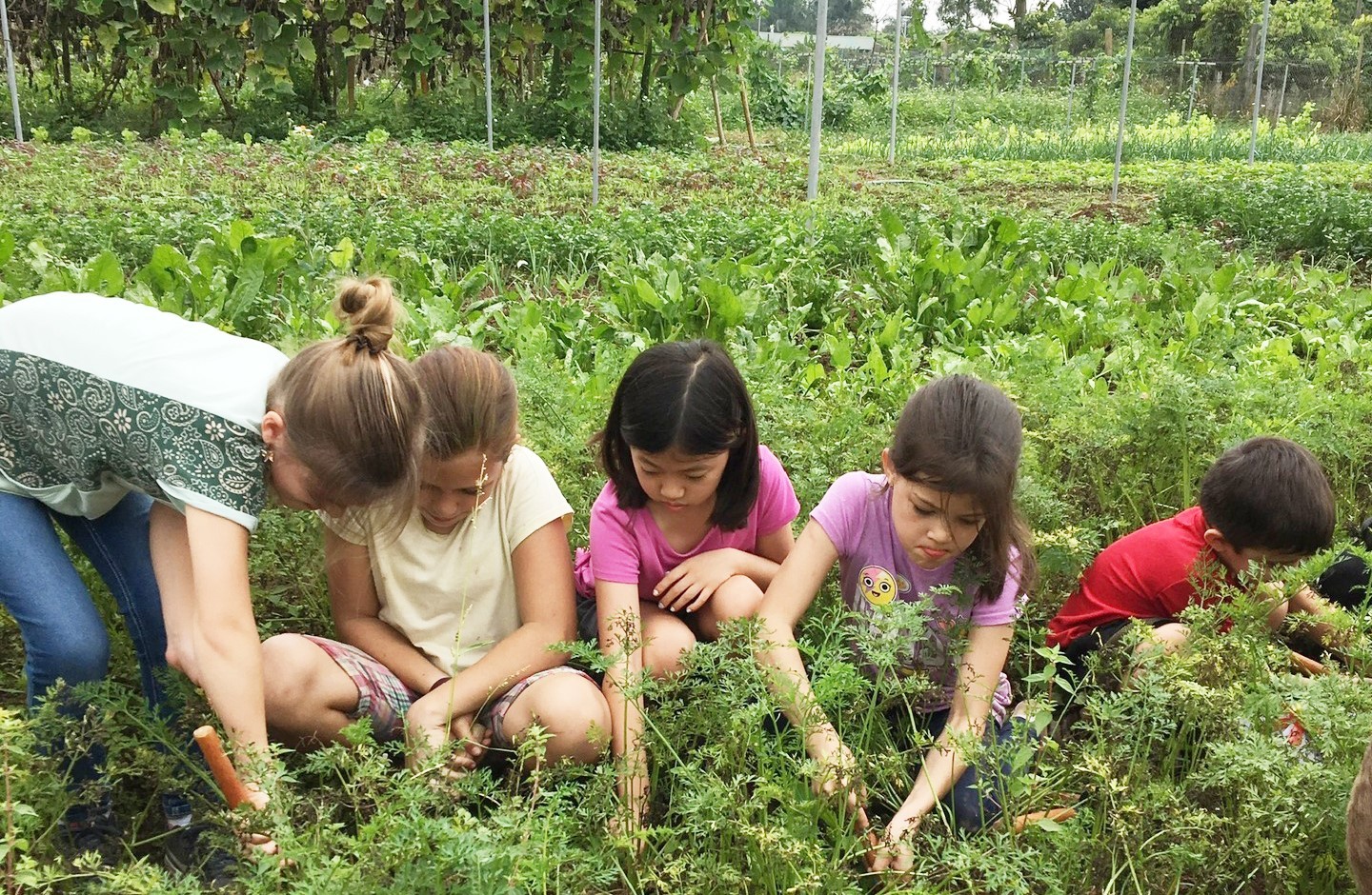 Đa dạng mô hình kinh tế theo định hướng du lịch nông nghiệp - làng nghề Đa dạng mô hình kinh tế theo định hướng du lịch nông nghiệp - làng nghề