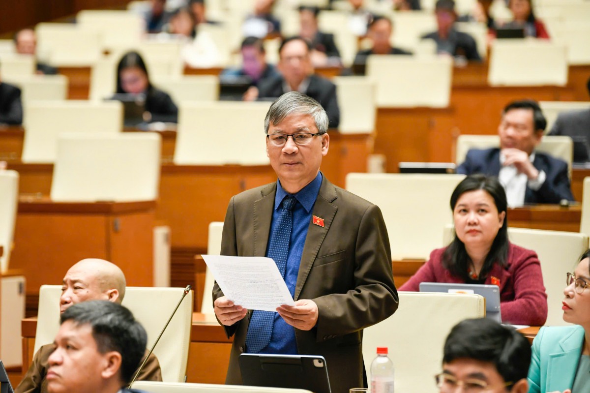 Đại Biểu Băn Khoăn Các Môn Giáo Dục Thể Chất, Hoạt Động Trải Nghiệm Có Cần Sách Giáo Khoa?