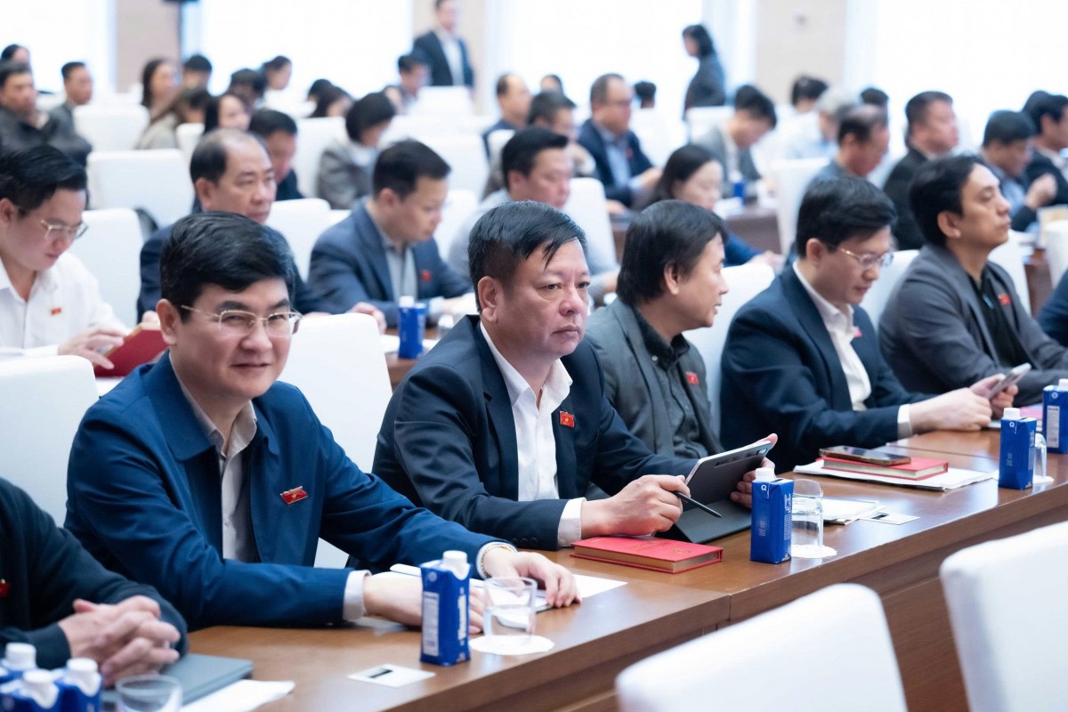 Đề Xuất 5 Định Hướng Hoàn Thiện Cấu Trúc Hệ Thống Pháp Luật