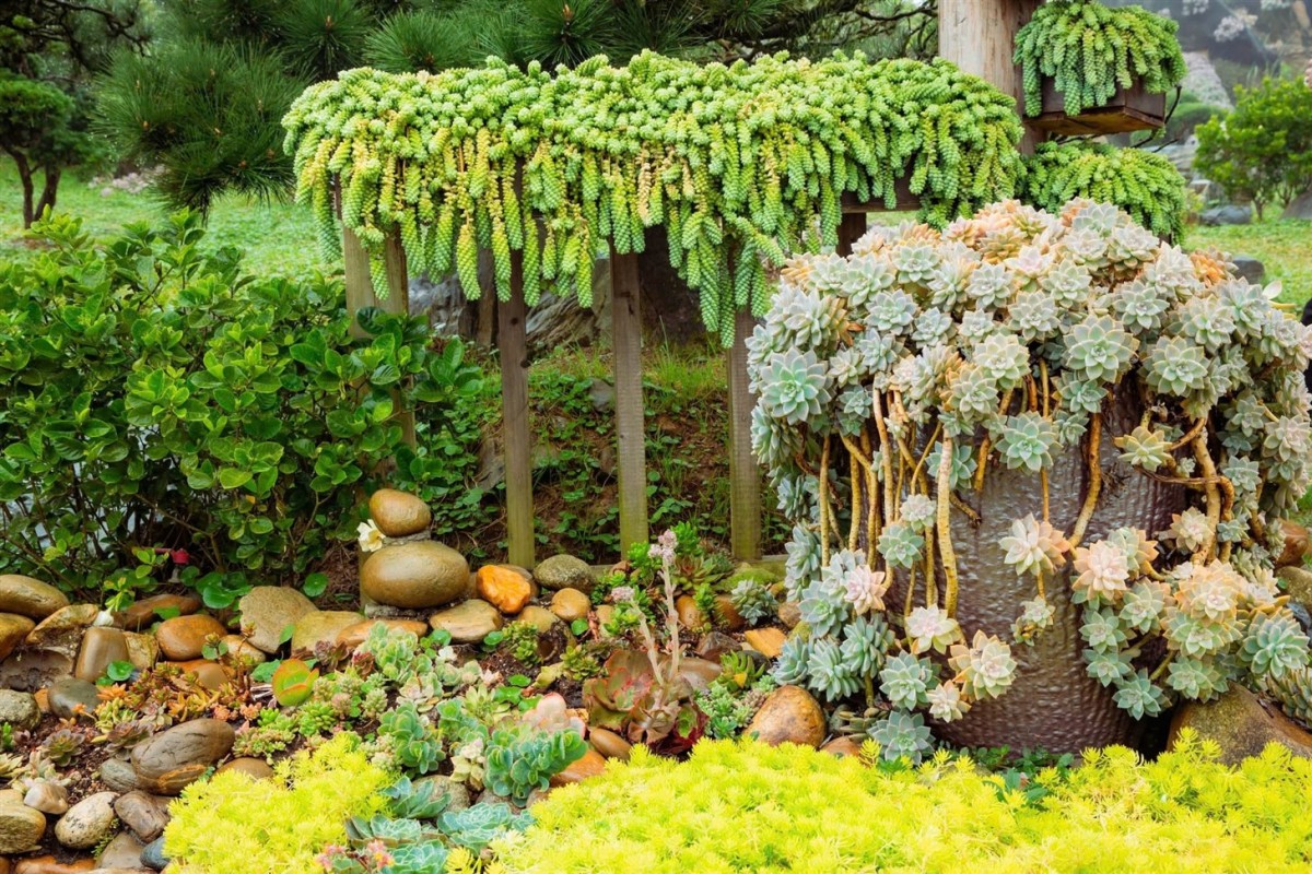 Sun World Fansipan Legend tung ưu đãi “khủng” cho người dân Lào Cai mới Sun World Fansipan Legend tung ưu đãi “khủng” cho người dân Lào Cai mới