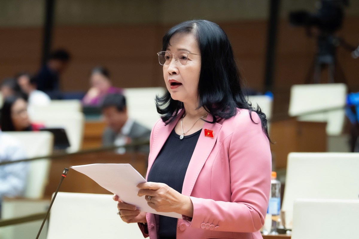 Cần Có Cơ Sở Pháp Lý Để Bảo Hộ Sở Trí Tuệ Đối Với Các Sản Phẩm Do Ai Việt Tạo Ra