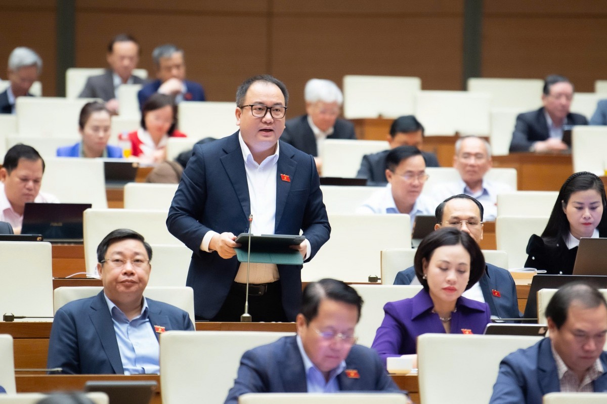 Cần Có Cơ Sở Pháp Lý Để Bảo Hộ Sở Trí Tuệ Đối Với Các Sản Phẩm Do Ai Việt Tạo Ra