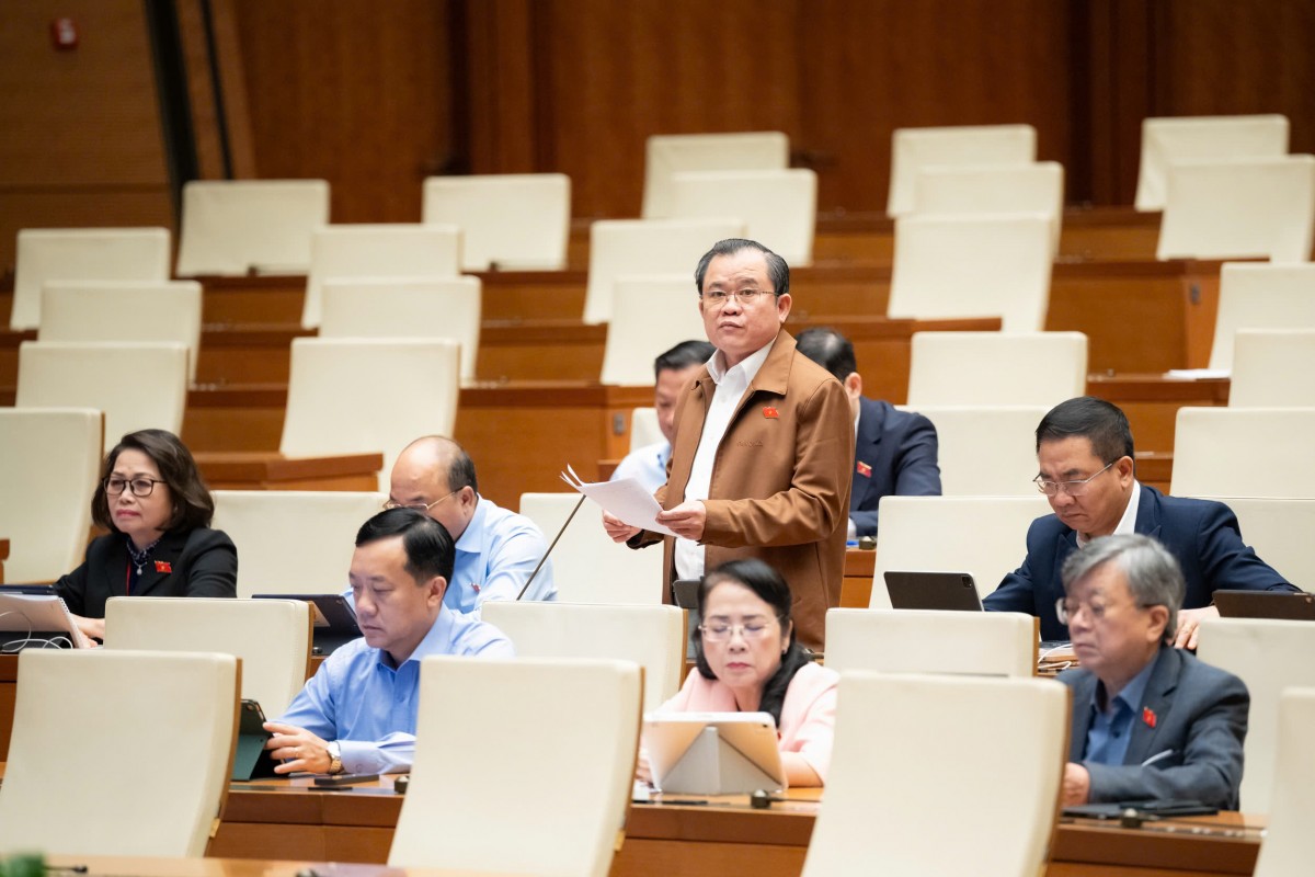 Cần Có Cơ Sở Pháp Lý Để Bảo Hộ Sở Trí Tuệ Đối Với Các Sản Phẩm Do Ai Việt Tạo Ra