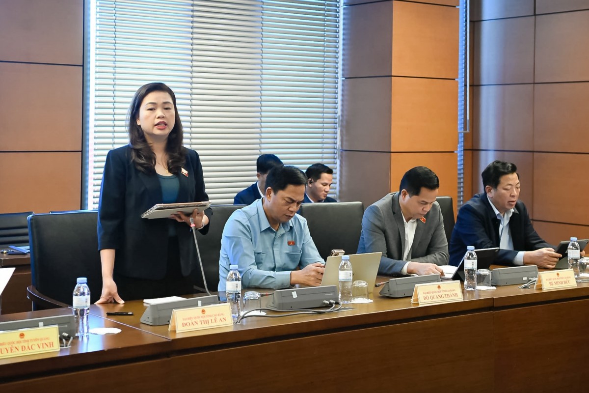 Đưa Tiếng Anh Trở Thành Ngôn Ngữ Thứ Hai: Cần Chuẩn Hóa Đội Ngũ Giáo Viên