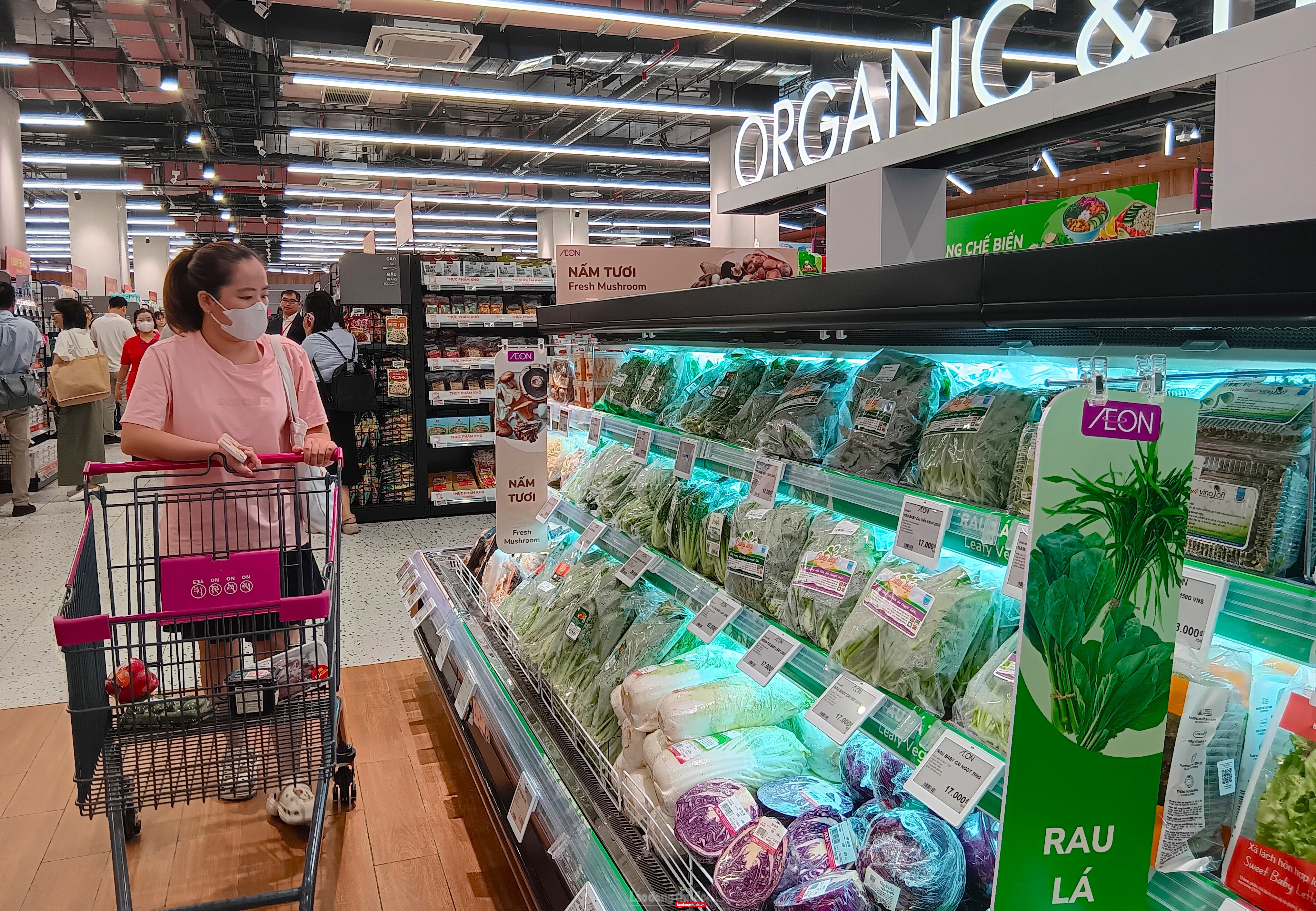 Doanh nghiệp phải trả thuế GTGT 5% đầu vào đối với hàng hóa là các sản phẩm nông nghiệp mua bán ở khâu thương mại Doanh nghiệp phải trả thuế GTGT 5% đầu vào đối với hàng hóa là các sản phẩm nông nghiệp mua bán ở khâu thương mại