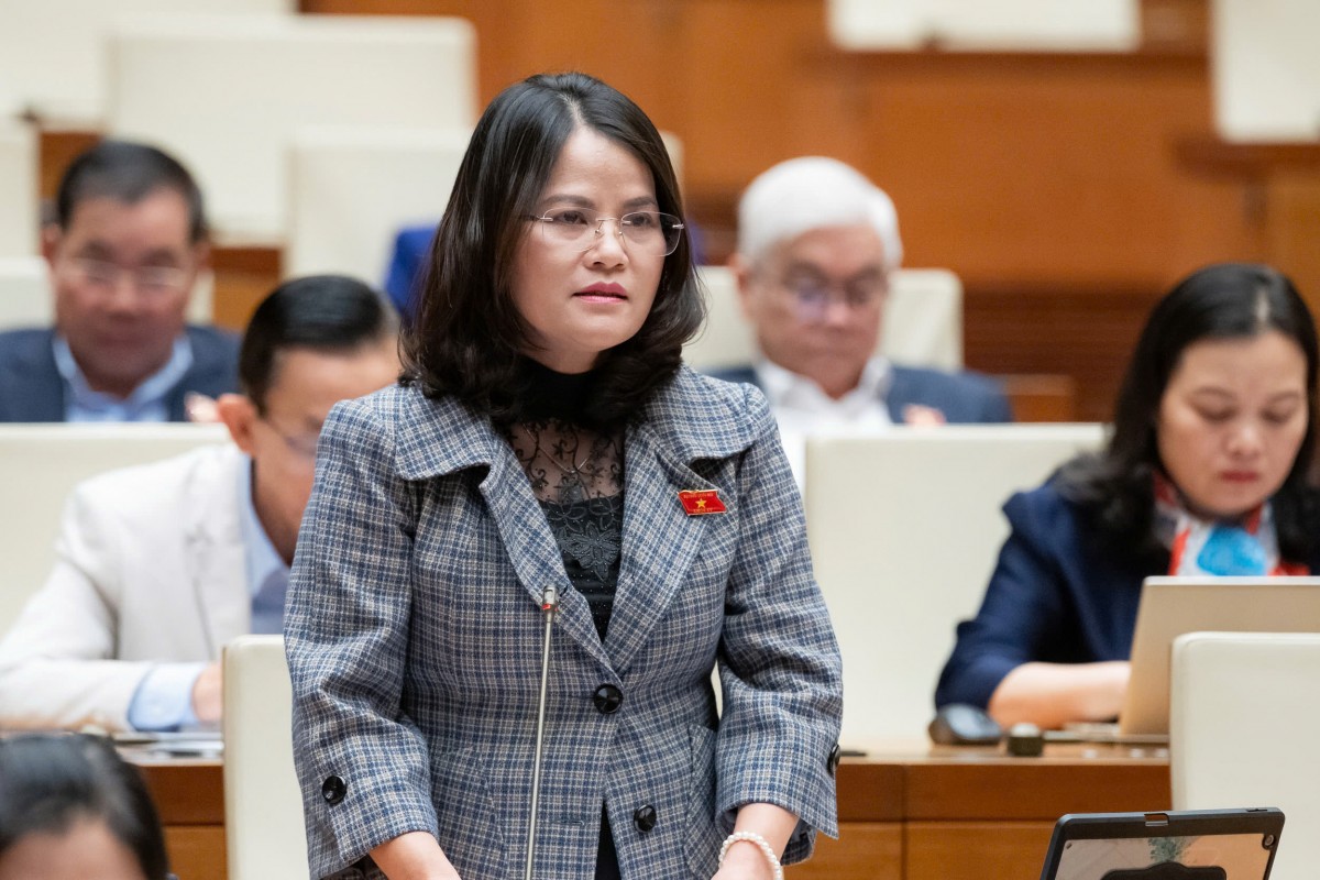 Việc Loại Bỏ Phân Khu Có Thể Khiến Quy Hoạch Chung Trở Nên Quá Tải, Phức Tạp