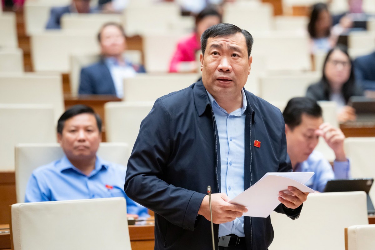 Việc Loại Bỏ Phân Khu Có Thể Khiến Quy Hoạch Chung Trở Nên Quá Tải, Phức Tạp