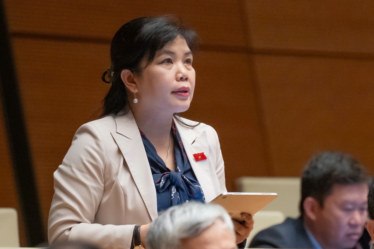 Việc Loại Bỏ Phân Khu Có Thể Khiến Quy Hoạch Chung Trở Nên Quá Tải, Phức Tạp