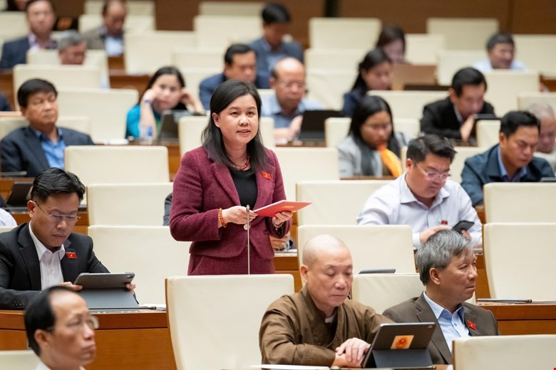 Đại Biểu Đề Nghị Tích Hợp “Quy Hoạch Chung Thành Phố” Vào Quy Hoạch Tỉnh