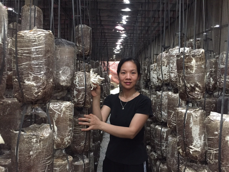 Từ những mô hình nông nghiệp mới, gieo mầm khát vọng đổi thay Từ những mô hình nông nghiệp mới, gieo mầm khát vọng đổi thay