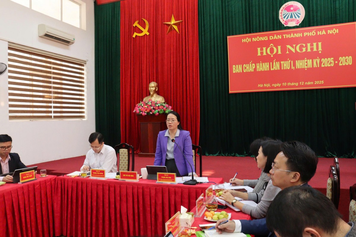 Đẩy mạnh giải ngân Quỹ Hỗ trợ nông dân để giúp hội viên phục hồi sản xuất sau mưa lũ Đẩy mạnh giải ngân Quỹ Hỗ trợ nông dân để giúp hội viên phục hồi sản xuất sau mưa lũ