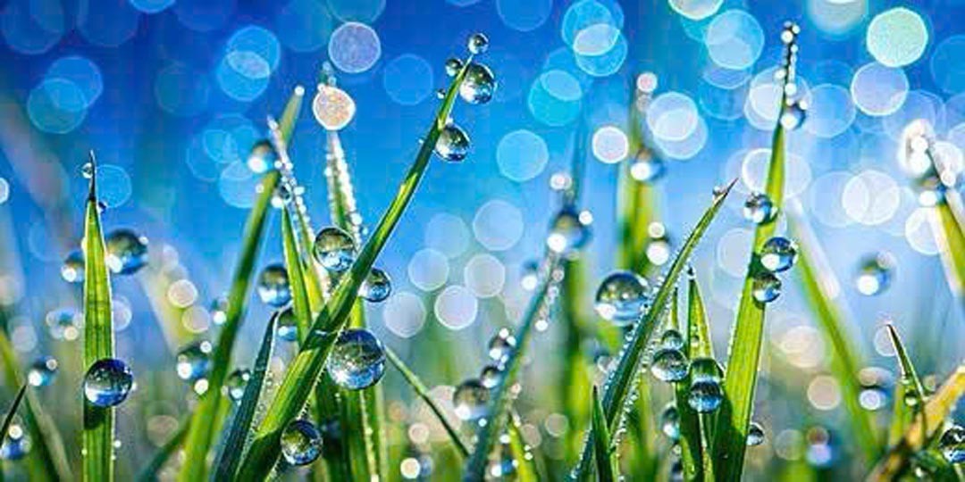 Thầm lặng sương đêm Thầm lặng sương đêm