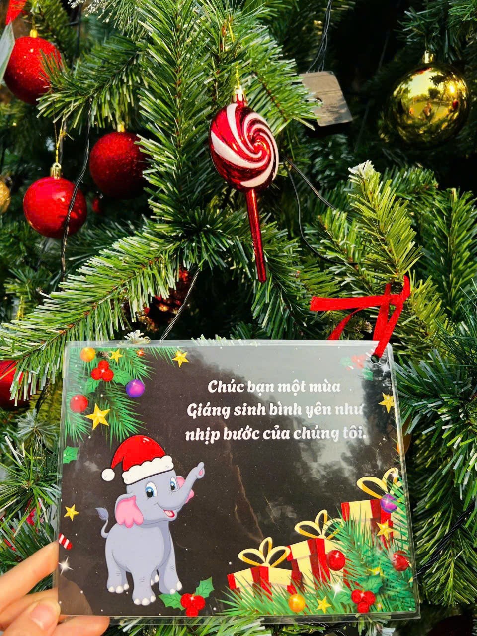 Rộn ràng các trải nghiệm dịp Noel - Tết Dương lịch cho trẻ em tại Vườn thú Hà Nội