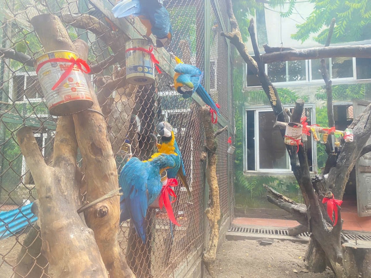 Rộn ràng các trải nghiệm dịp Noel - Tết Dương lịch cho trẻ em tại Vườn thú Hà Nội