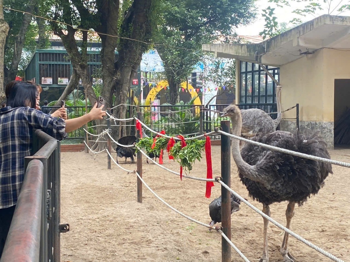 Rộn ràng các trải nghiệm dịp Noel - Tết Dương lịch cho trẻ em tại Vườn thú Hà Nội