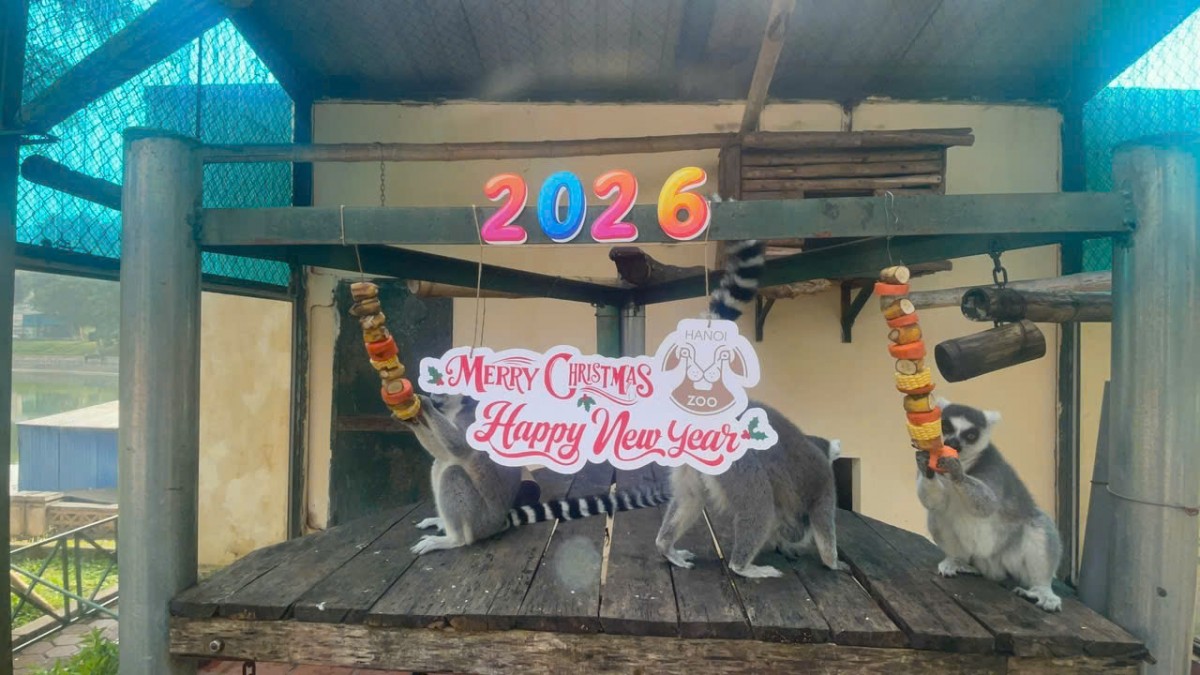 Rộn ràng các trải nghiệm dịp Noel - Tết Dương lịch cho trẻ em tại Vườn thú Hà Nội