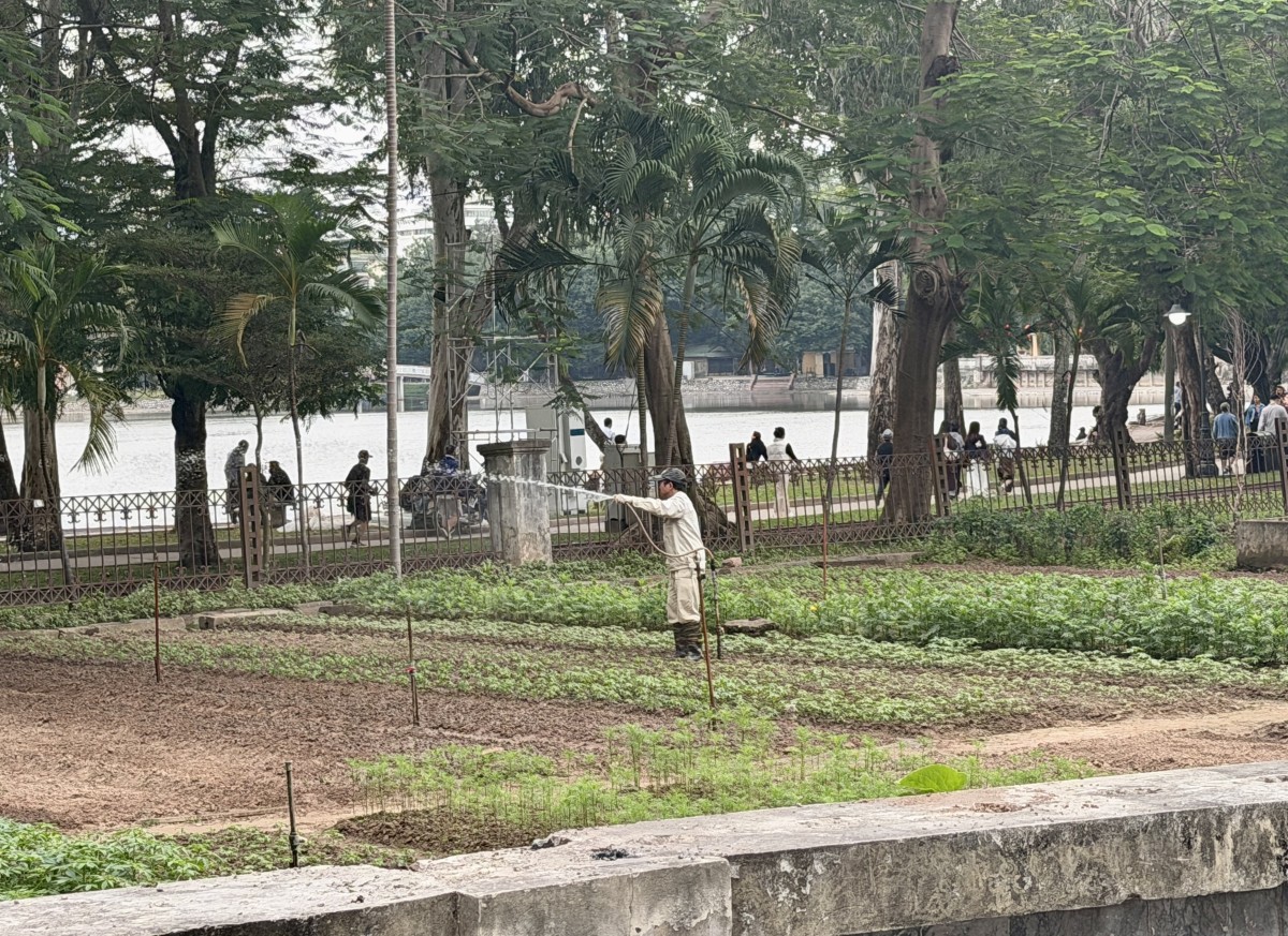 Không gian xanh hòa vào nhịp sống Thủ đô